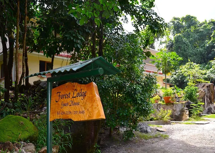Forest Lodge
