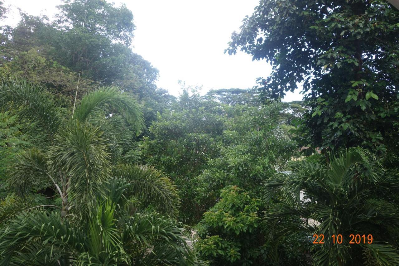 Pensión Forest 3*